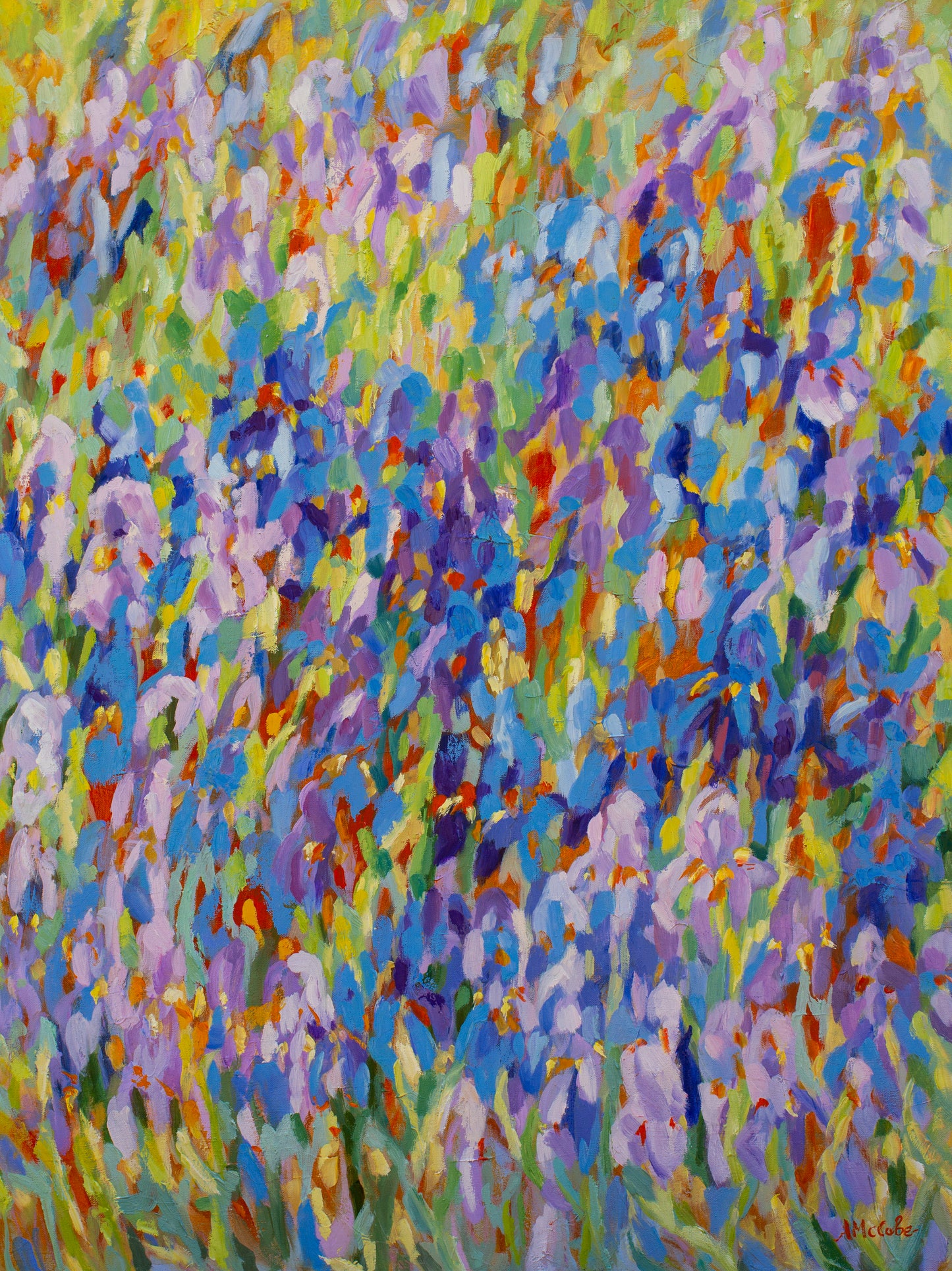 Iris field