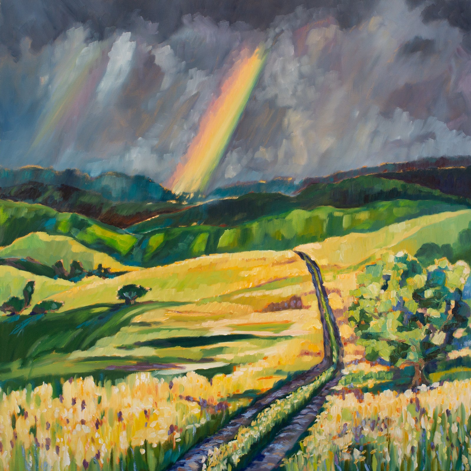 Over the rainbow