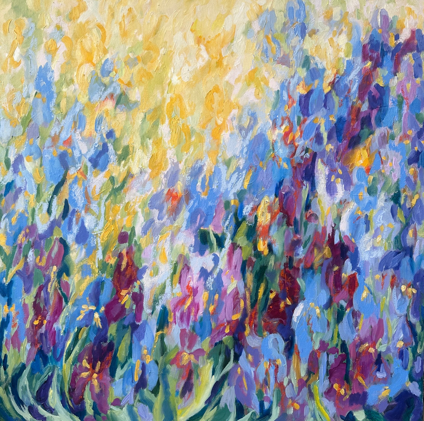 Iris Joy